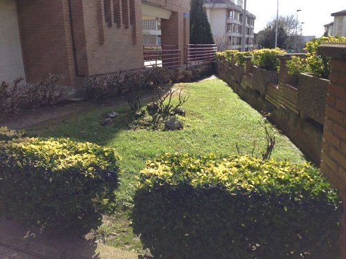 Limpieza de jardines Cantabria Limpieza de jardines Cantabria